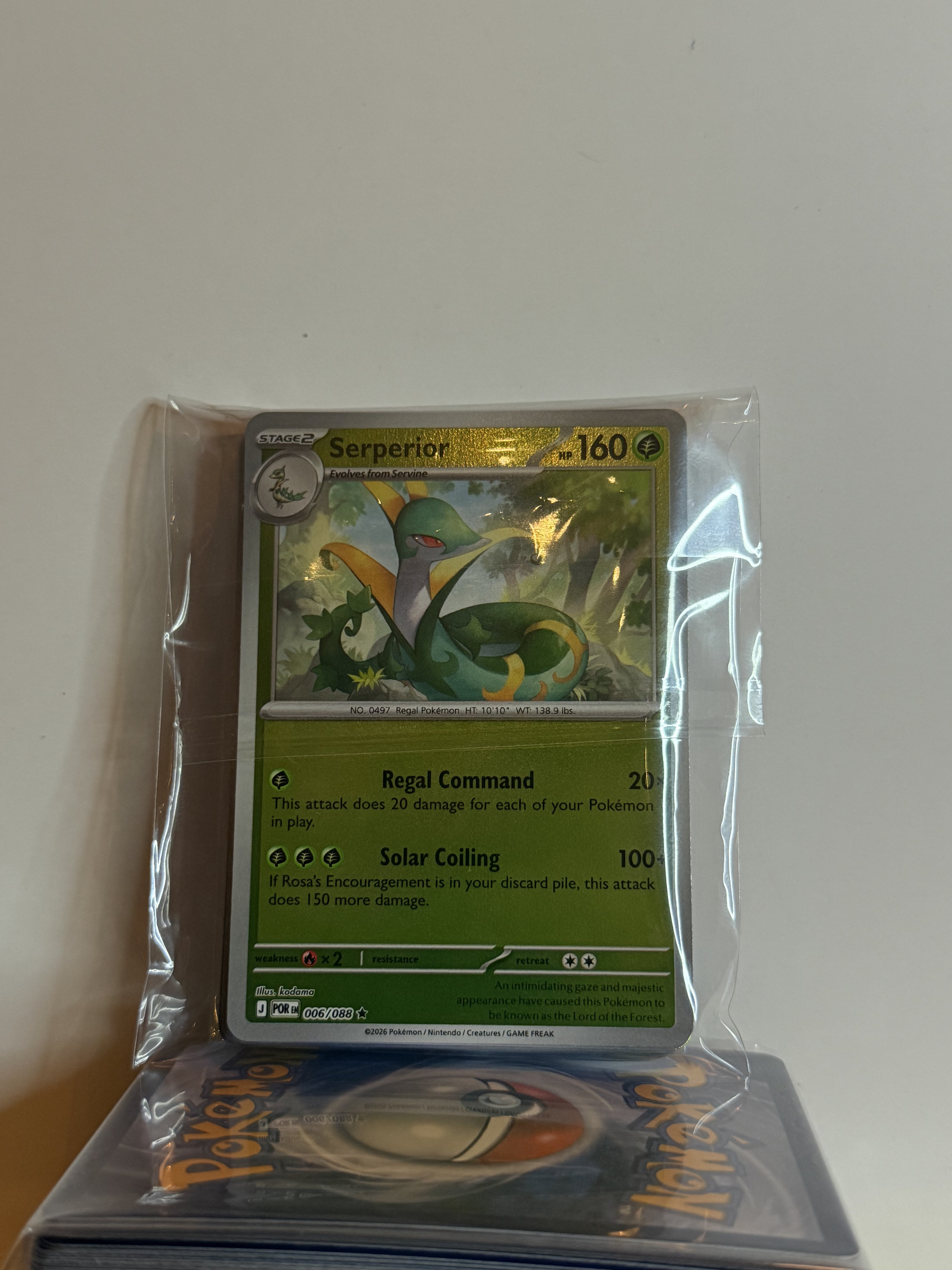 Pokemon Perfect Order Holo Bundle