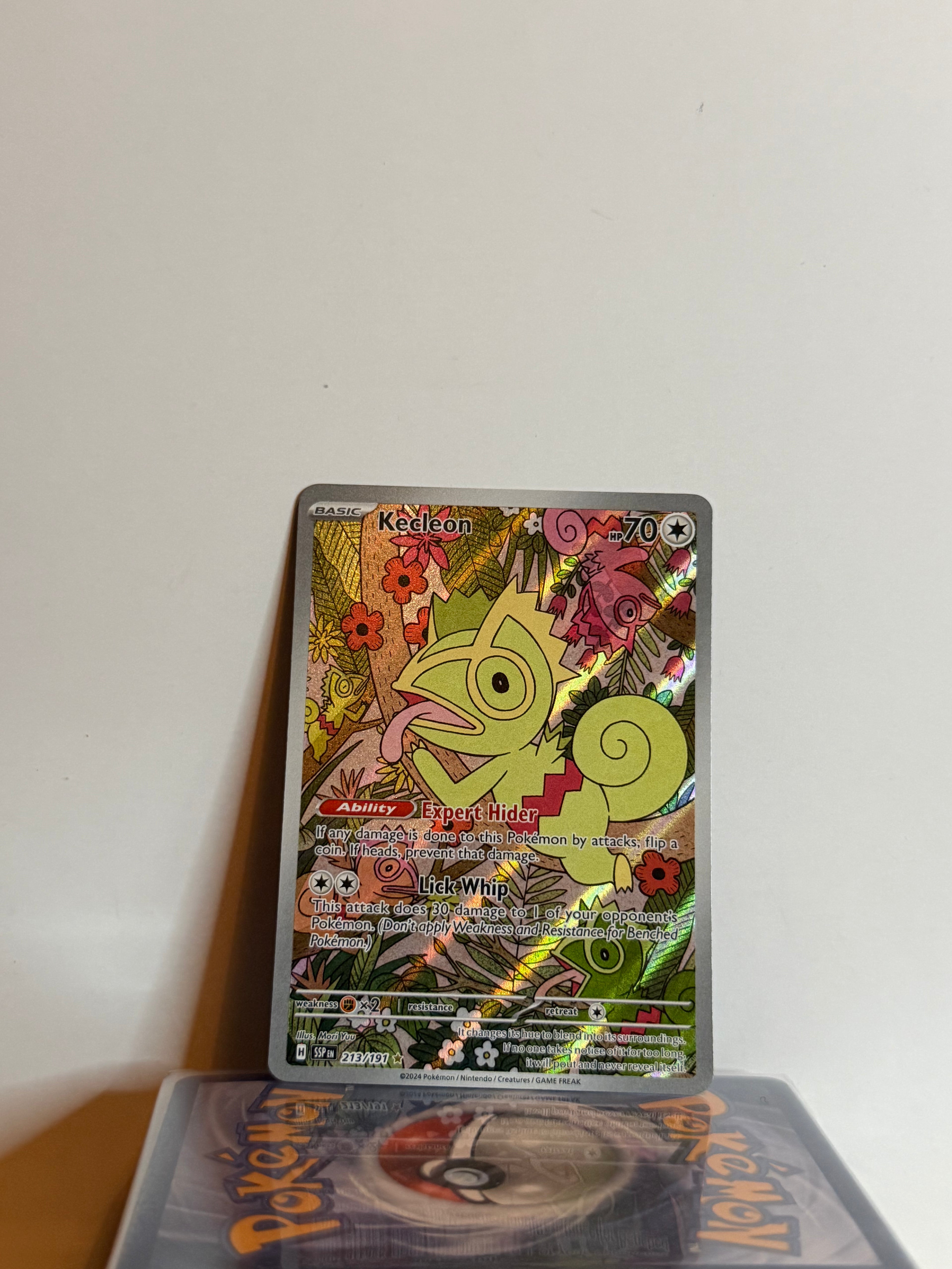 Kecleon 213/191