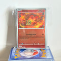 Pokemon Mega Evolution Premium Holo Bundle (47 Holo + 3 ex)